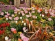 Photo précédente de Auray Fleurs