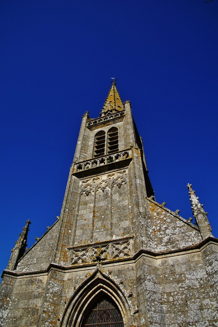  église Saint-Pierre - Locoal-Mendon