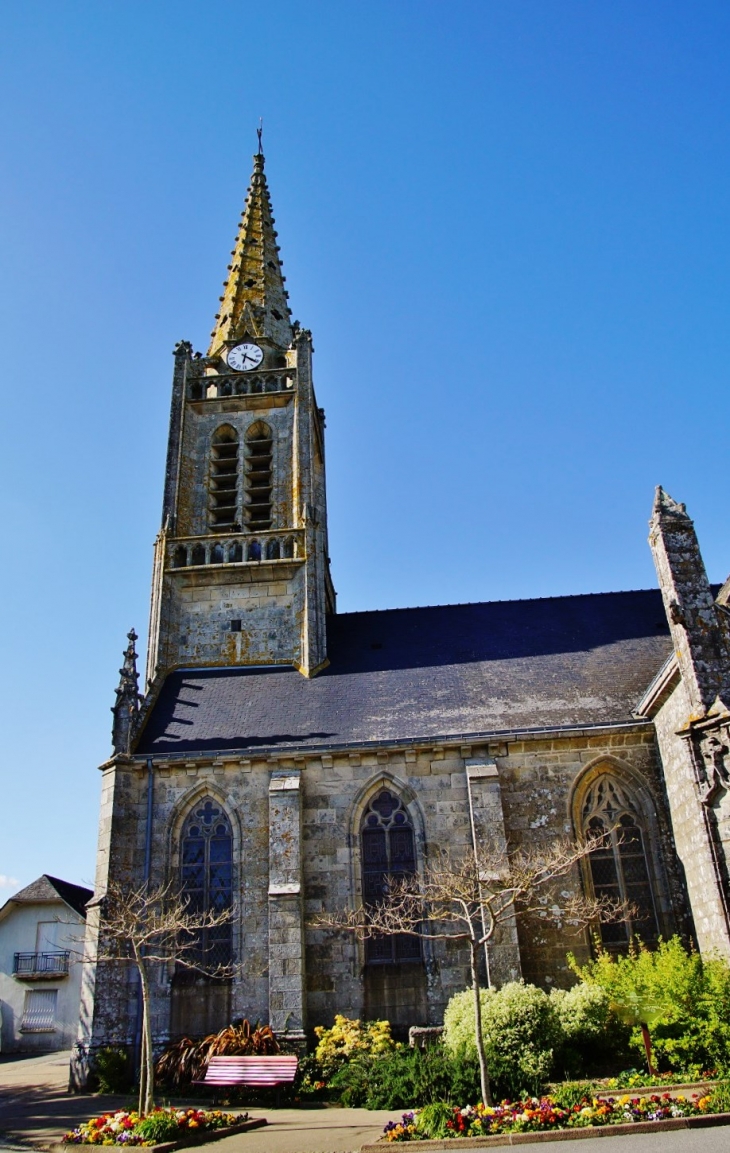  église Saint-Pierre - Locoal-Mendon