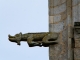 Gargouille du clocher de la chapelle de Saint Nicodeme.