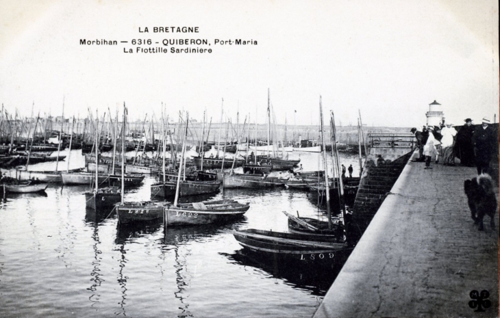 Port Maria - La Flottile sardinière, vers 1920 (carte postale ancienne). - Quiberon