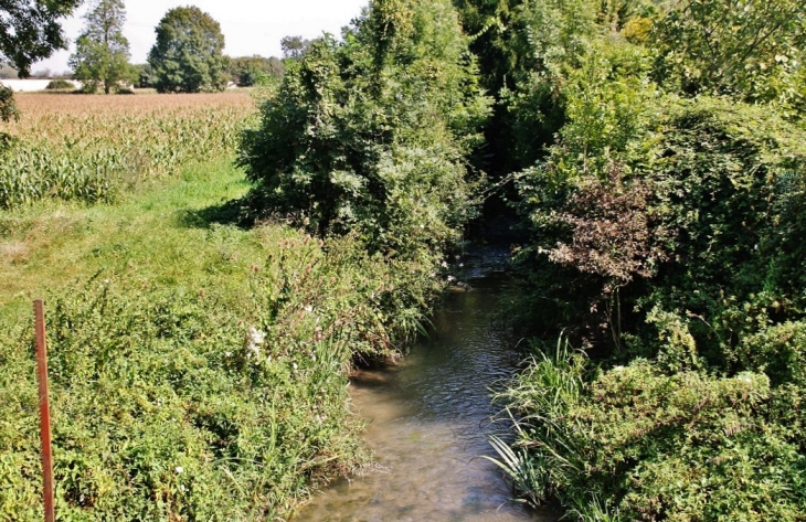 Ruisseau de Ragnon - Lugny-Champagne