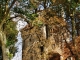 Donjon de l'ancien Château ( 15 Em siècle )