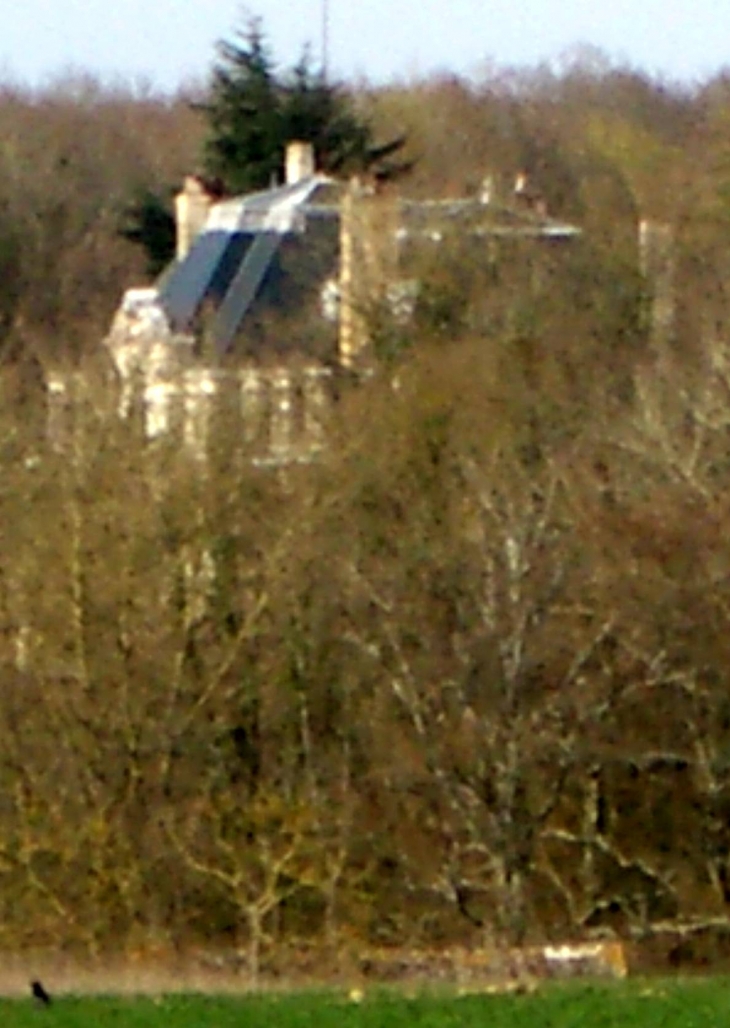 Château vu du chemin du petit beauvais - La Ferrière