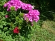 Photo suivante de Marcilly-sur-Vienne Commune en  fleurs