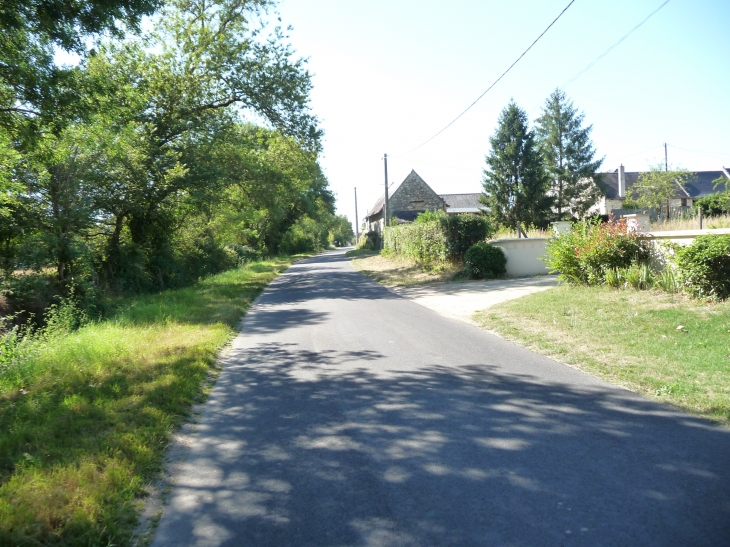Le petit raiffault :rue basse - Savigny-en-Véron