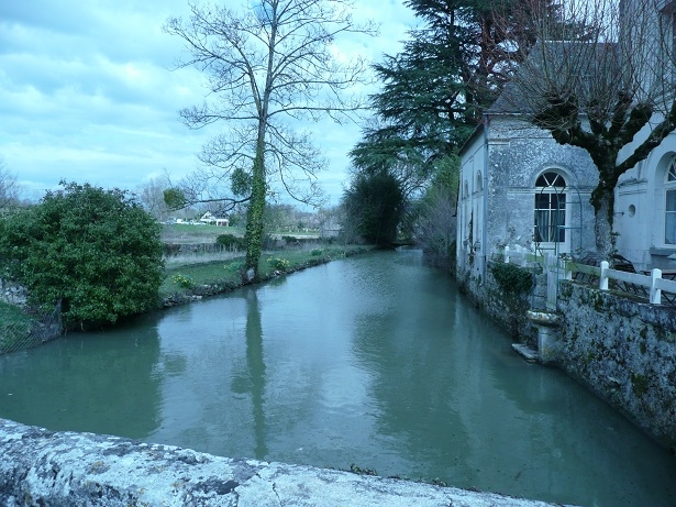 La rivière de l'échandon à hauteur du village - Tauxigny
