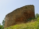 Ruines de la forteresse de Cluis-Dessous. Donjon du XIIème siècle sur motte.