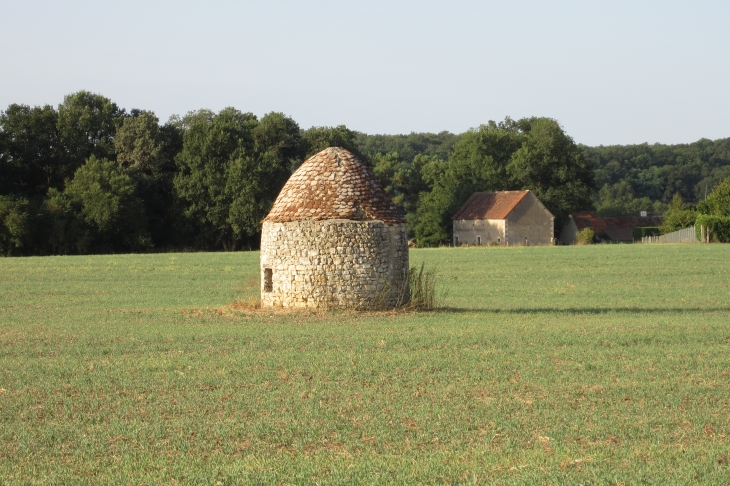 Cabane de vigneron, près du village de Sainte-Clémence, à CONCREMIERS.