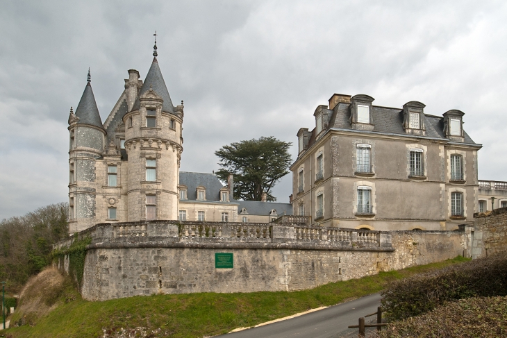 Le château d'origine médiévale fut constamment habité. Il passa par héritage en 1821 à Augustine Marie Rosalie de Forges de Châteaubrun (1772-1853), épouse de Pierre-Paul Royer-Collard (1763-1845).  - Châteauvieux