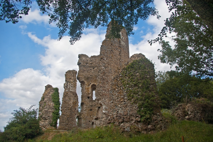 Château de Fréteval (Loir-et-cher). Le château comprenait 3 lignes de défense. Le château a toujours été transmis par succession héréditaire depuis le XIème siècle. Le donjon de Fréteval, dont la date de construction est voisine de 1090 et la destruction 