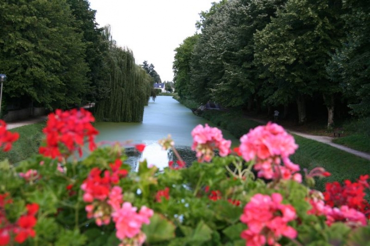 Le canal d'Orléans à Combleux