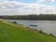 Bords de Loire près de Combleux photo Giliane Kaltenbach