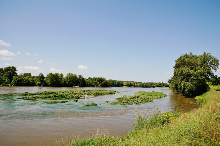 La Loire - Ousson-sur-Loire