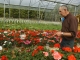Patrick Bouilly producteur de fleurs à Tigy