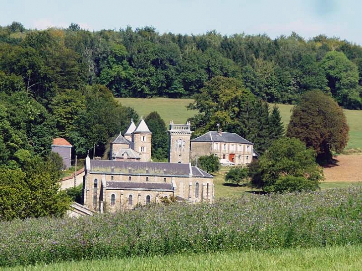 Vue sur l'église et le château - Balaives-et-Butz