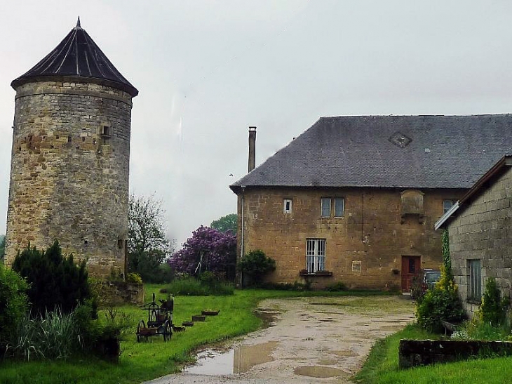 La maison forte et son pigeonnier - Harricourt