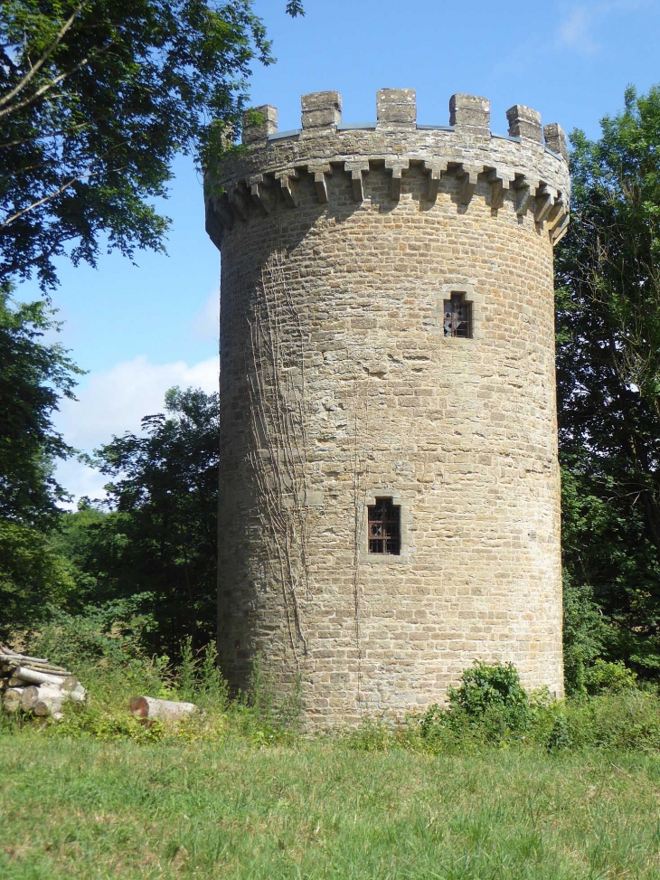 La tour Daucene - Le Châtelet-sur-Sormonne