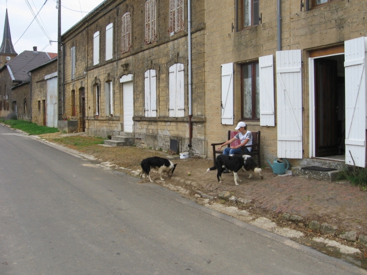 Rue dans le village - Neufmaison