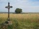 Près de Pommereau, la croix métallique  et en arrière plan Longueperte-St Hilaire, sur la D138 lieu dit 