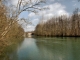 Les rives de la rivière Marne :pêche, faune, flore exeptionnelles