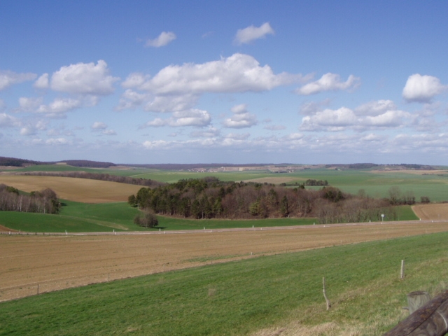Vue de la campagne - Laferté-sur-Aube