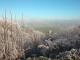 Vue du Bassigny par un jour d'hiver