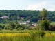 Vignes la Cote