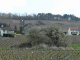 vue sur l'église au dessus des vignes au printemps