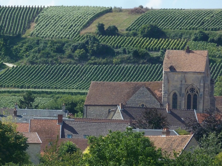 L'église devant les vignes - Pévy