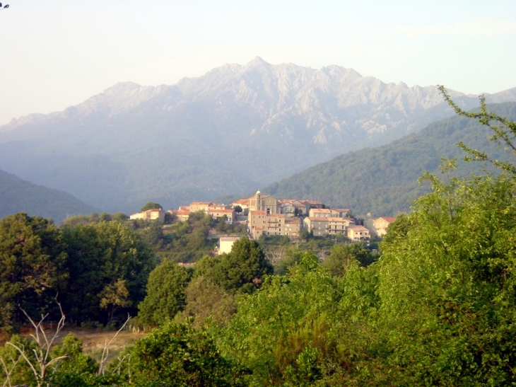 Vue d'ensemble du village - Cozzano