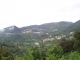 Tallano vue de la vallée