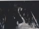 Photo suivante de Cademène le cygne en gyps grotte des chaillets