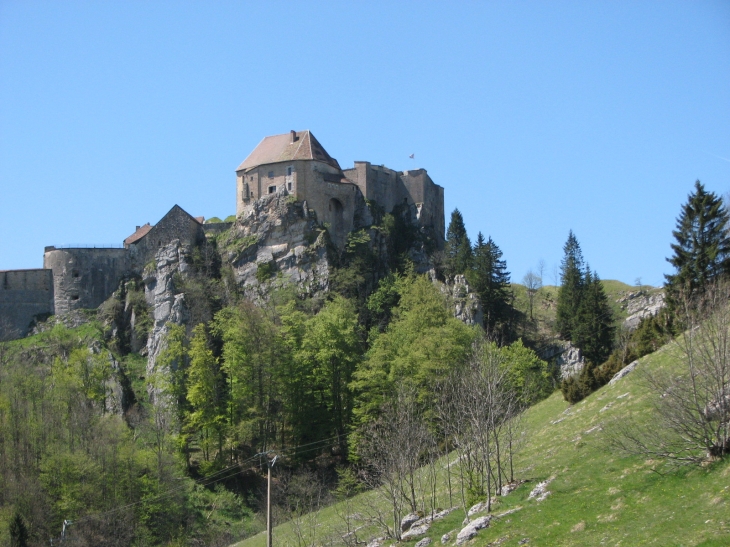 Le Château de Joux - La Cluse-et-Mijoux
