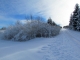 Paysage de neige - route de Villers-sous-Chalamont 