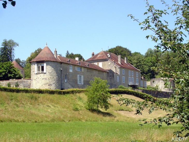 Chateau de Richecourt vu de la Saone - Aisey-et-Richecourt