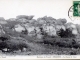 Le Camp de César, vers 1911 (carte postale ancienne).