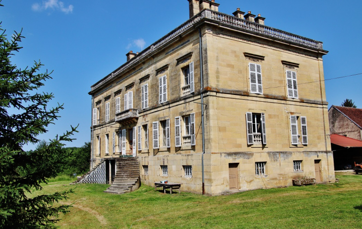 Le Château - Montureux-lès-Baulay