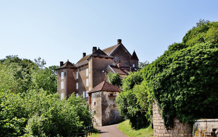Le Château - Passavant-la-Rochère
