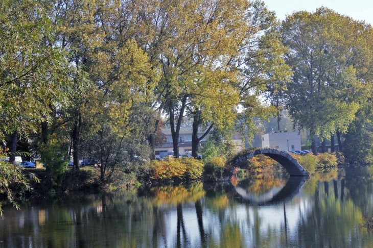 Dole.Jura-Pont Roman.Oct 2011