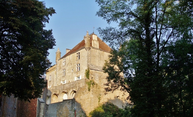 Le Château - Frontenay