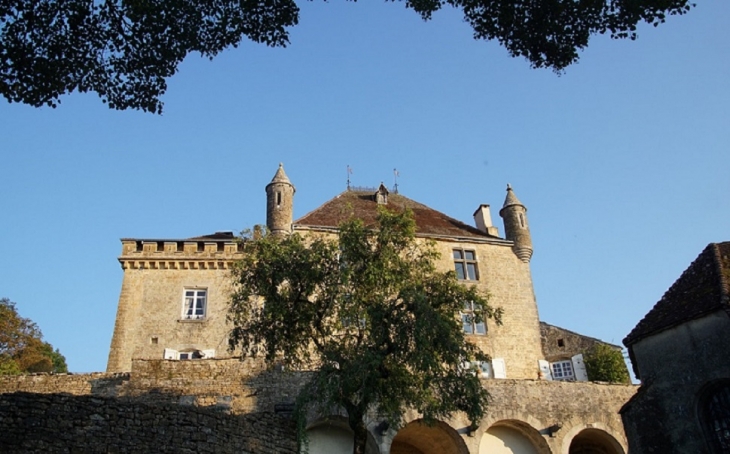 Le Château - Frontenay