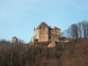 Château de Frontenay