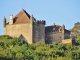 Photo suivante de Frontenay Le Château