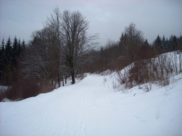 Depart des pistes de ski de fond - La Chaux-du-Dombief