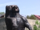 Photo précédente de La Chaux-du-Dombief ours vus par le sculpteur sur bois à Chaux du Dombief -