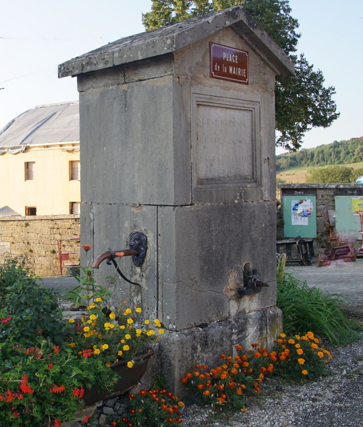 Fontaine - Menétru-le-Vignoble