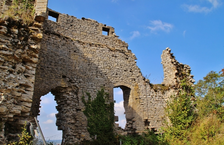 Ruines du Château Féodal 12 Em Siècle - Mirebel