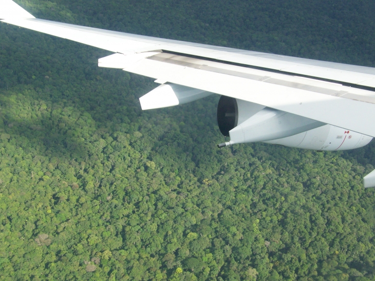Forêt guyanaise vue du ciel  - Cayenne