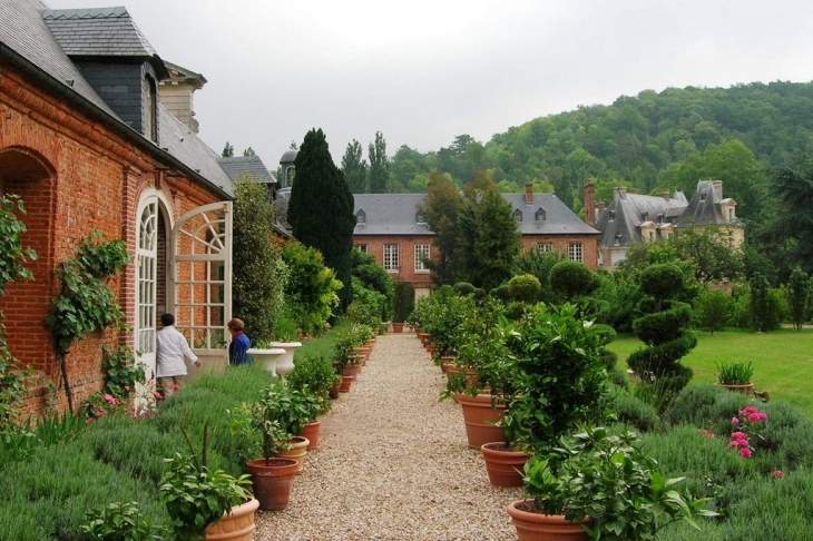 L'orangerie du château et son allée d'agrumes - Acquigny
